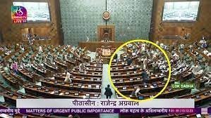 संसद पर हमले की बरसी पर लोकसभा की सुरक्षा में भारी चूक, दर्शक दीर्घा से कूदे दो शख्स, पीली गैस भी छोड़ी…